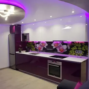 Dary Rent Orquidea Tarragona